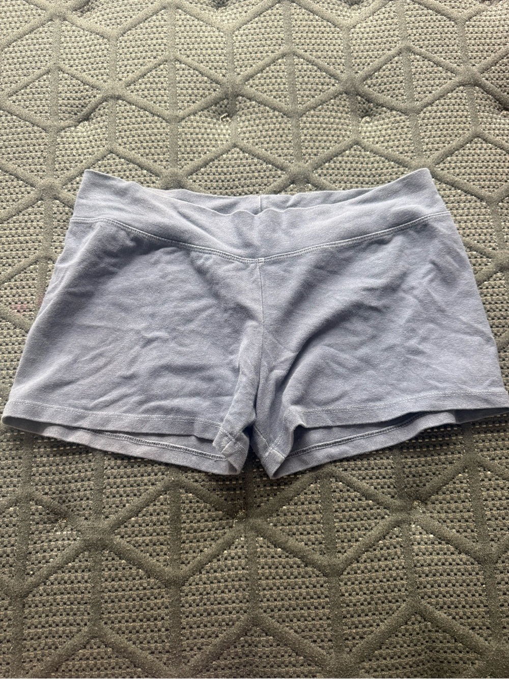 Brandy Melville Light Blue Women's Stretch Lounge Shorts